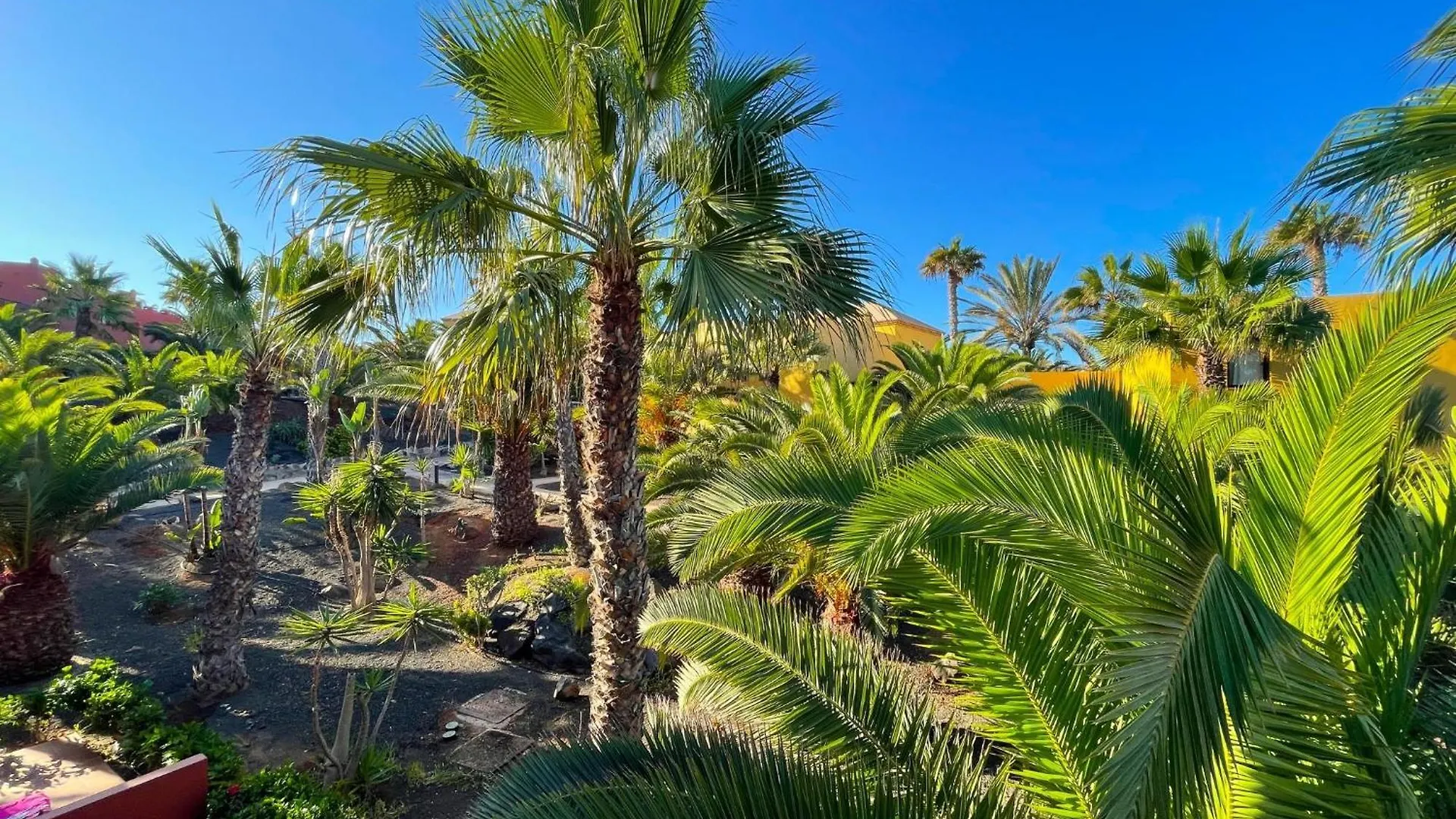 Apartment Oasis Tamarindo By Best Holidays Fuerteventura Corralejo Spain